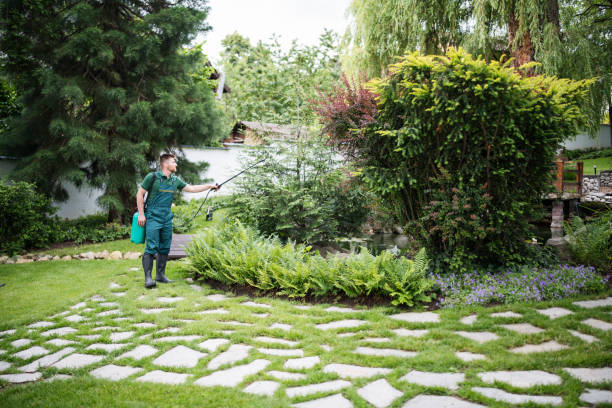 Best Wasp Removal Services  in Elgin, OR
