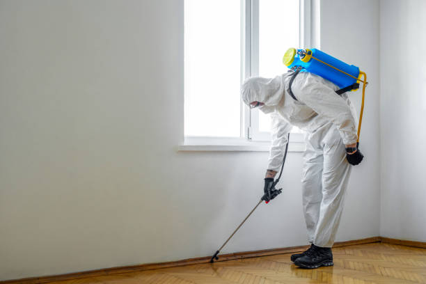 Best Exterminator Services  in Elgin, OR