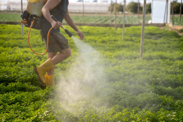 Best Insect Control  in Elgin, OR