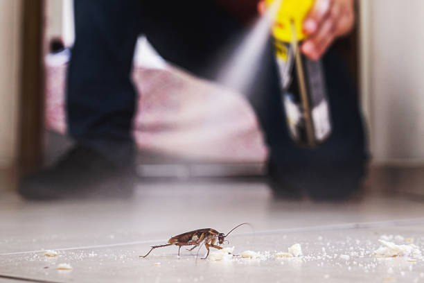 Trusted Elgin, OR Pest Control Experts