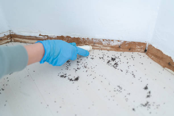 Best Mosquito Control Services  in Elgin, OR