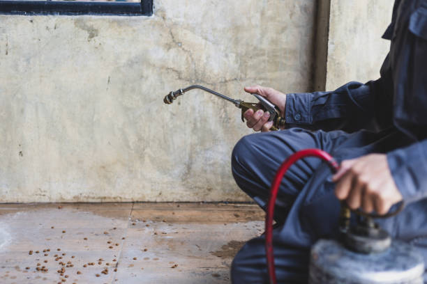Best Affordable Pest Control Services  in Elgin, OR