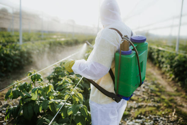 Best Cockroach Control Services  in Elgin, OR